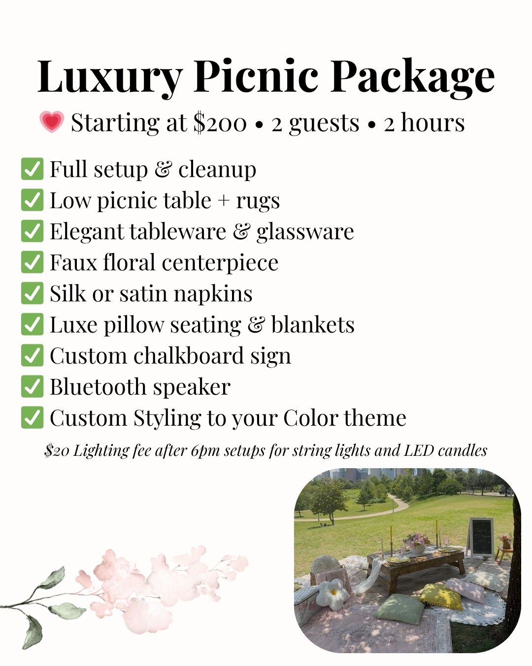 Luxury picnic event houston