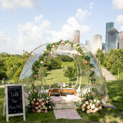 floral bubble tent picnic with pink and white flowers, backdrop, and houston skyline background with clouds on sunny day