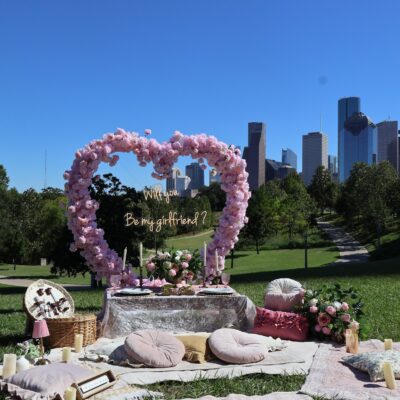 large pink rose heart rental with picnic and skyline in background