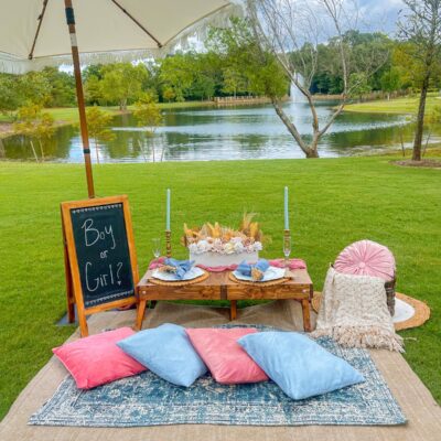 tables with rugs for a luxury picnic setup gender reveal and a backdrop that says ""boy or girl"