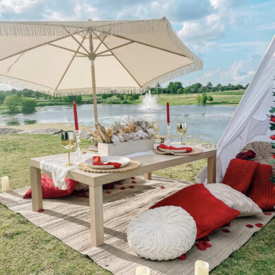 luxury picnic with umbrella at a park in houston texas red white romantic pillows