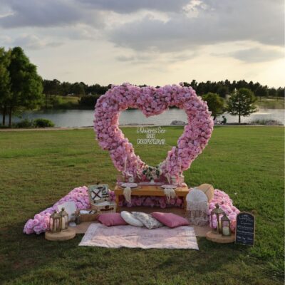 will you marry me pink heart houston picnic proposal